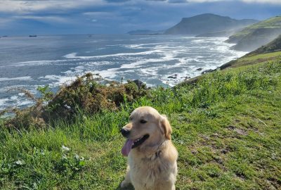 estilo-vida-activo-importancia-en-la-familia