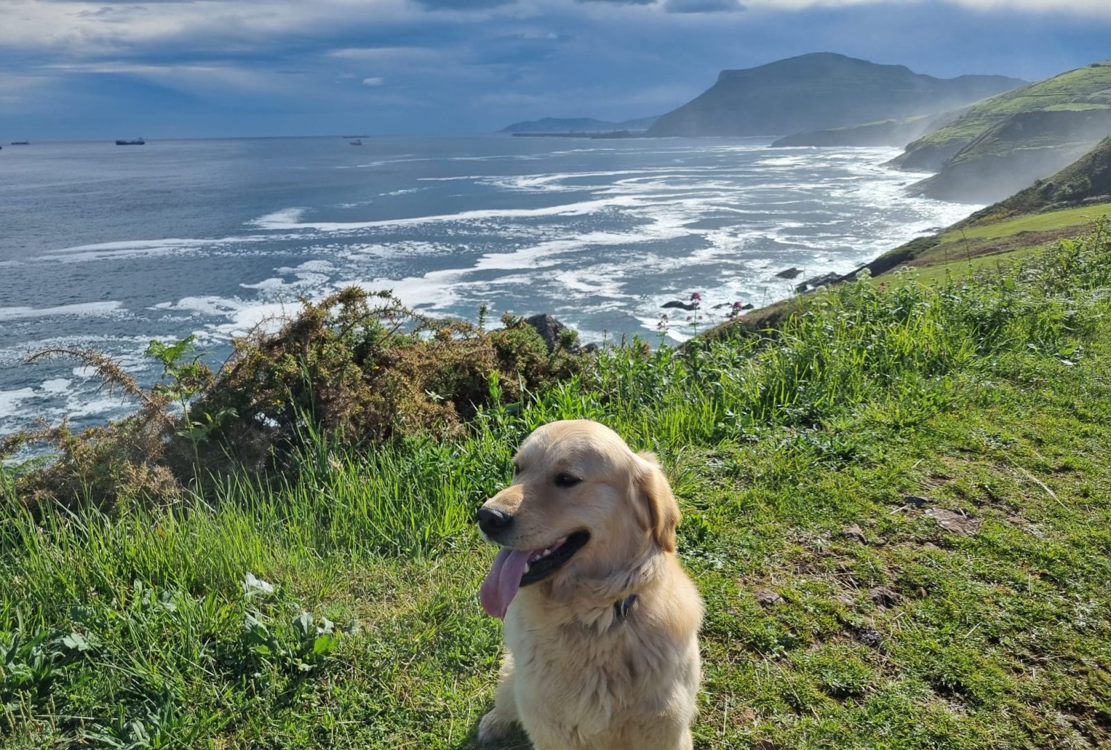 estilo-vida-activo-importancia-en-la-familia