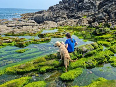ejercicio-regular-para-cuidar-tu-golden-retriever